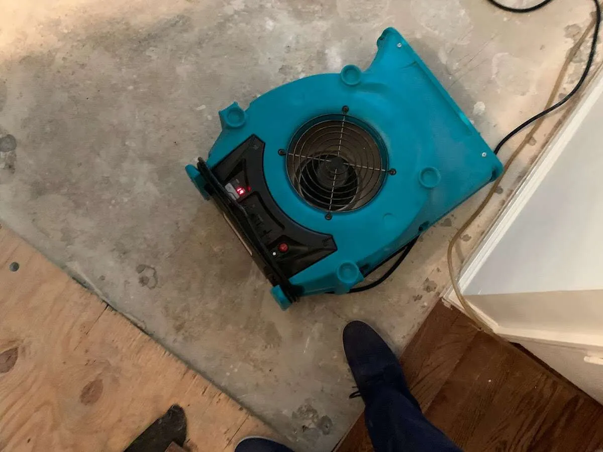 Air mover drying subfloor during Leak Detection & Repair in Cecil